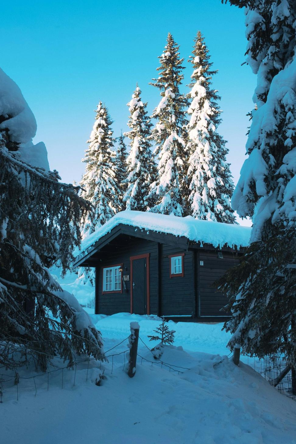 Premium Alpine Lodge