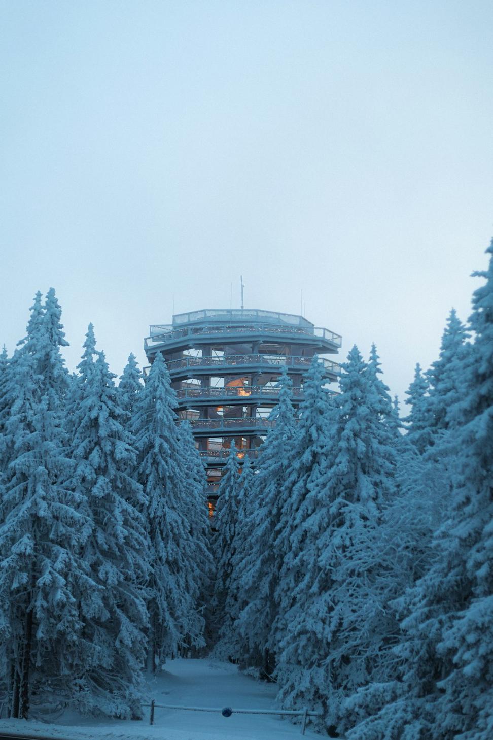 Deluxe Forest Suite